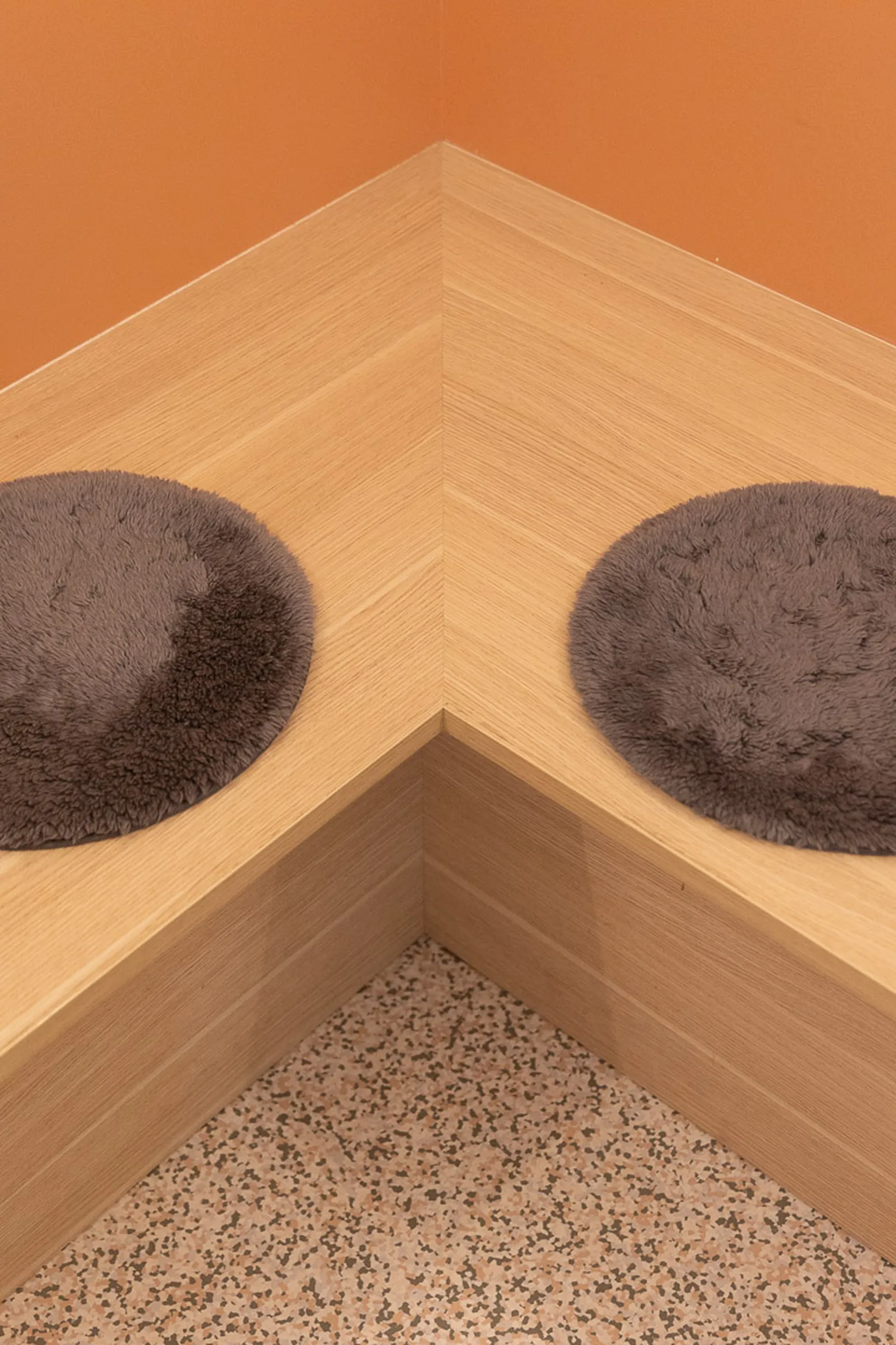 Cabinet Ridard